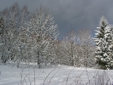 Winter - Klicken zum Vergrern