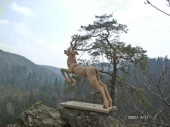 Klicken zum Vergrern