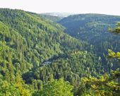 Klicken zum Vergrern