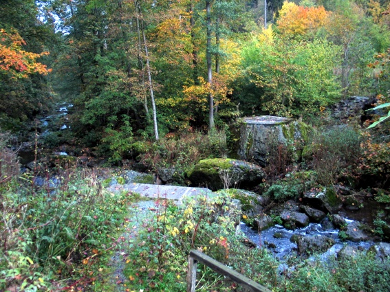 Zur�ck zum Bericht