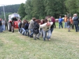 Klicken zum Vergrern